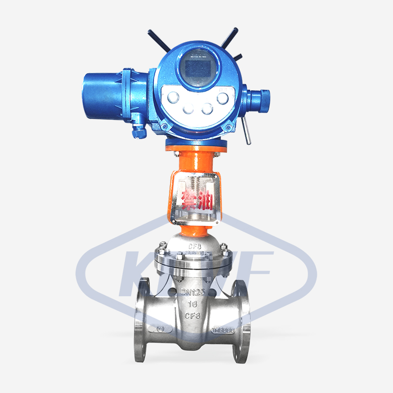 電動(dòng)氧氣閘閥